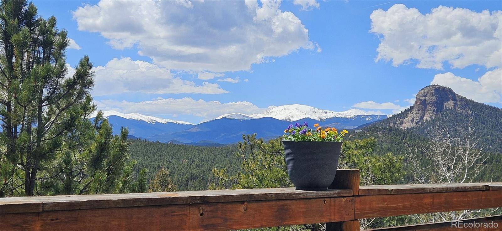 89 Jones Creek LN, Pine, CO 80470