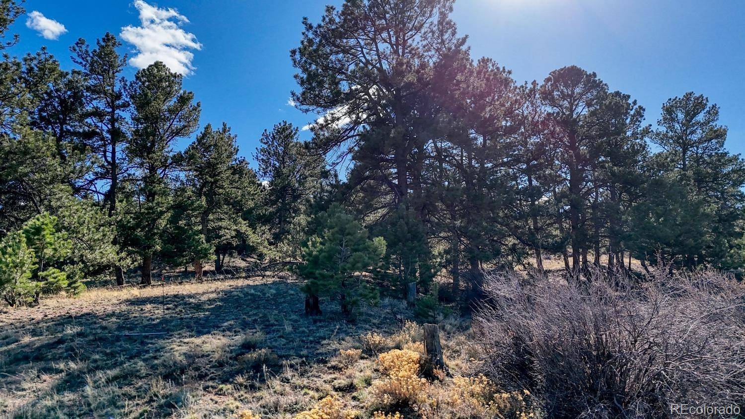 L5124 Arikara TRL, Hartsel, CO 80449