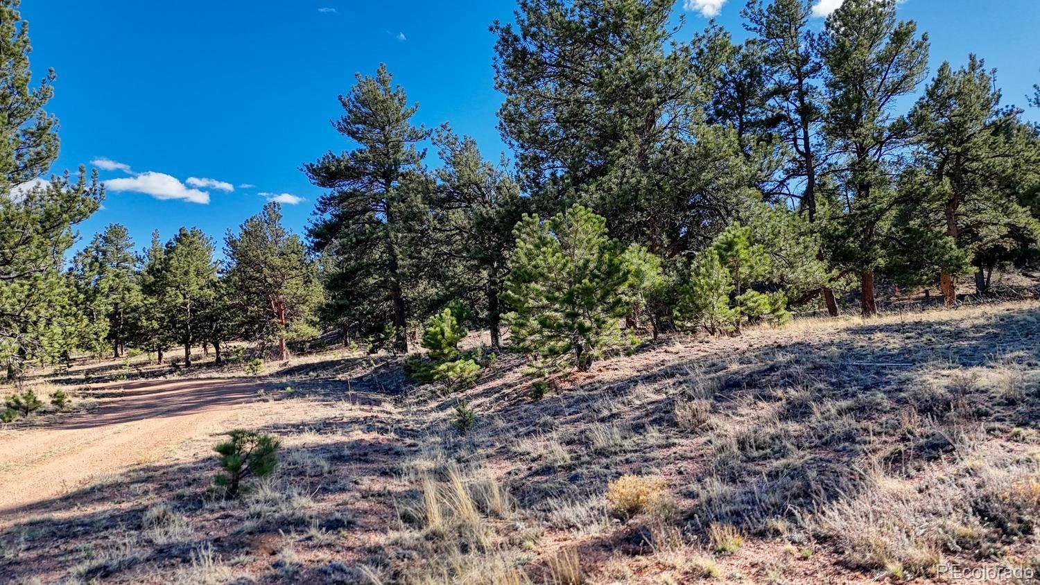 L5124 Arikara TRL, Hartsel, CO 80449