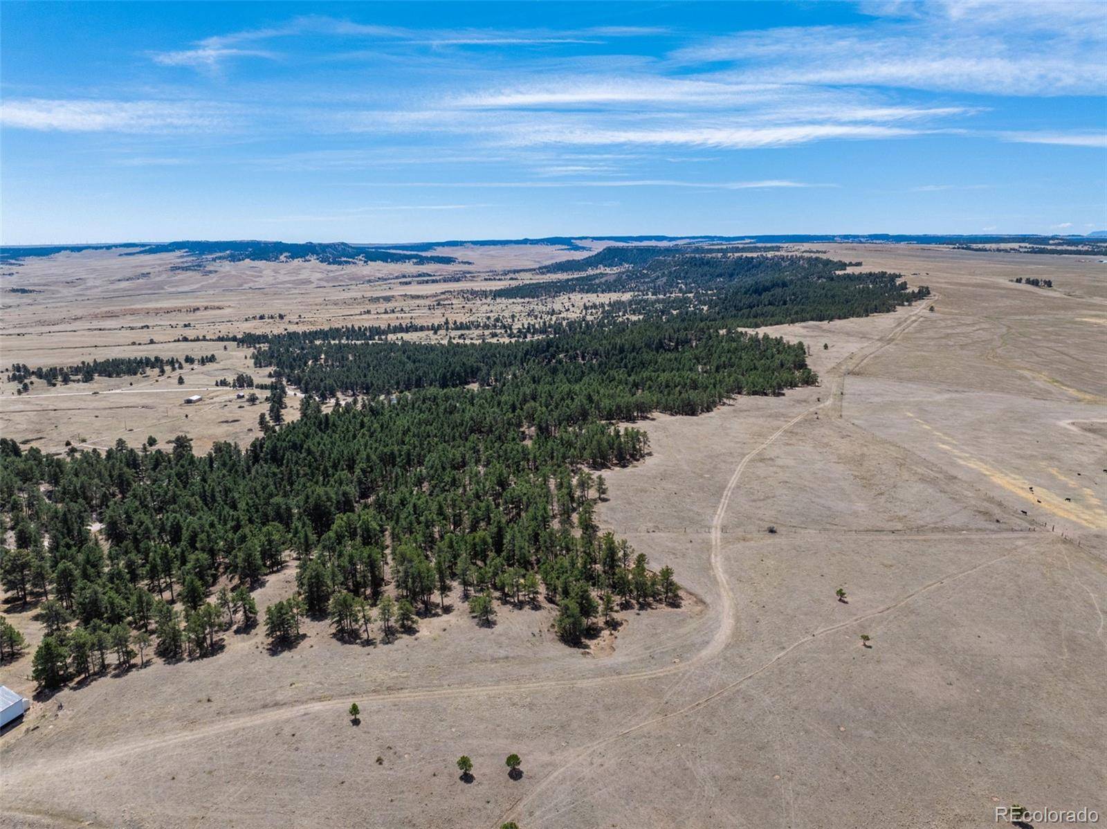 22555 County Road 49, Elbert, CO 80106