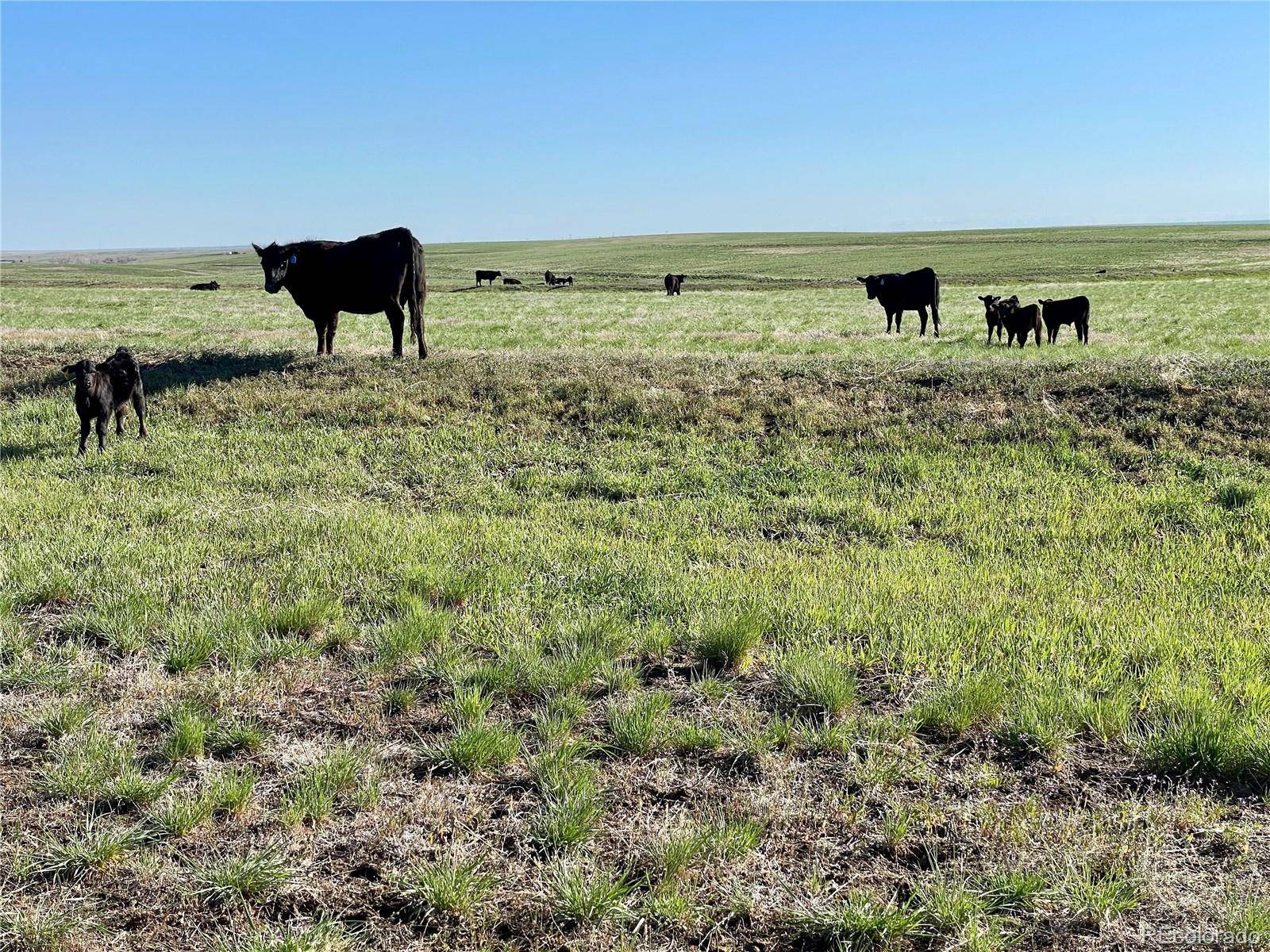 County Road 125, Deer Trail, CO 80105