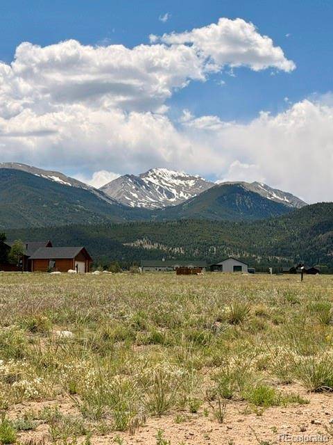 17550 Pony RUN, Buena Vista, CO 81211
