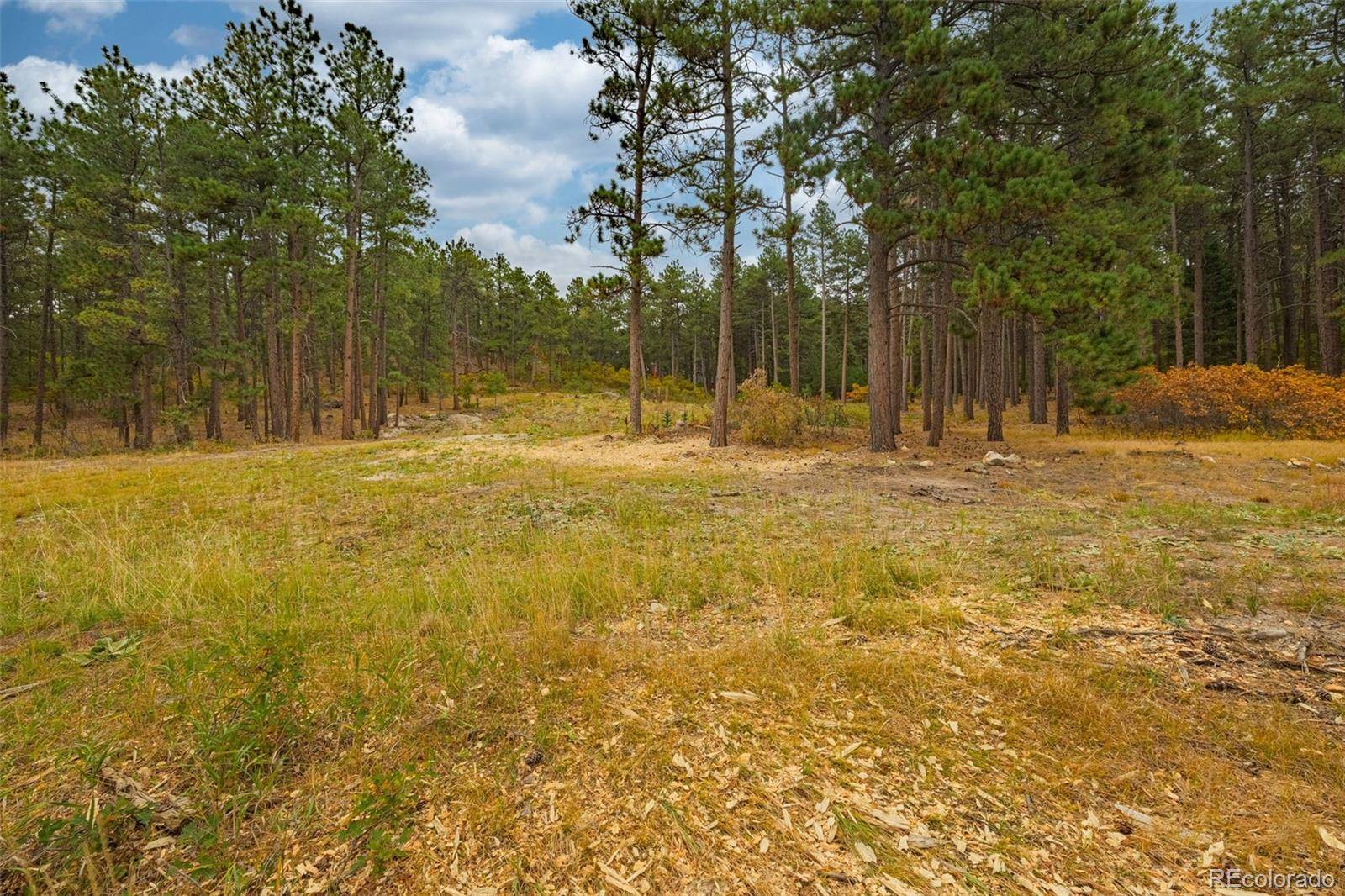 14420 S Perry Park RD, Larkspur, CO 80118
