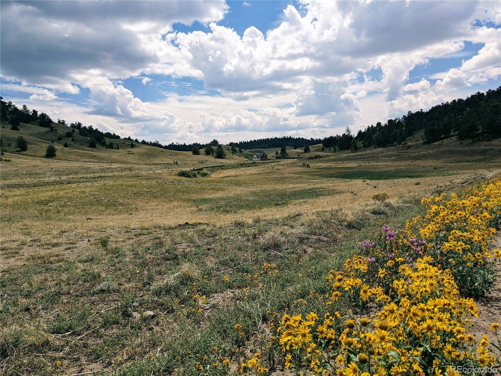 55 Jay CT, Hartsel, CO 80449