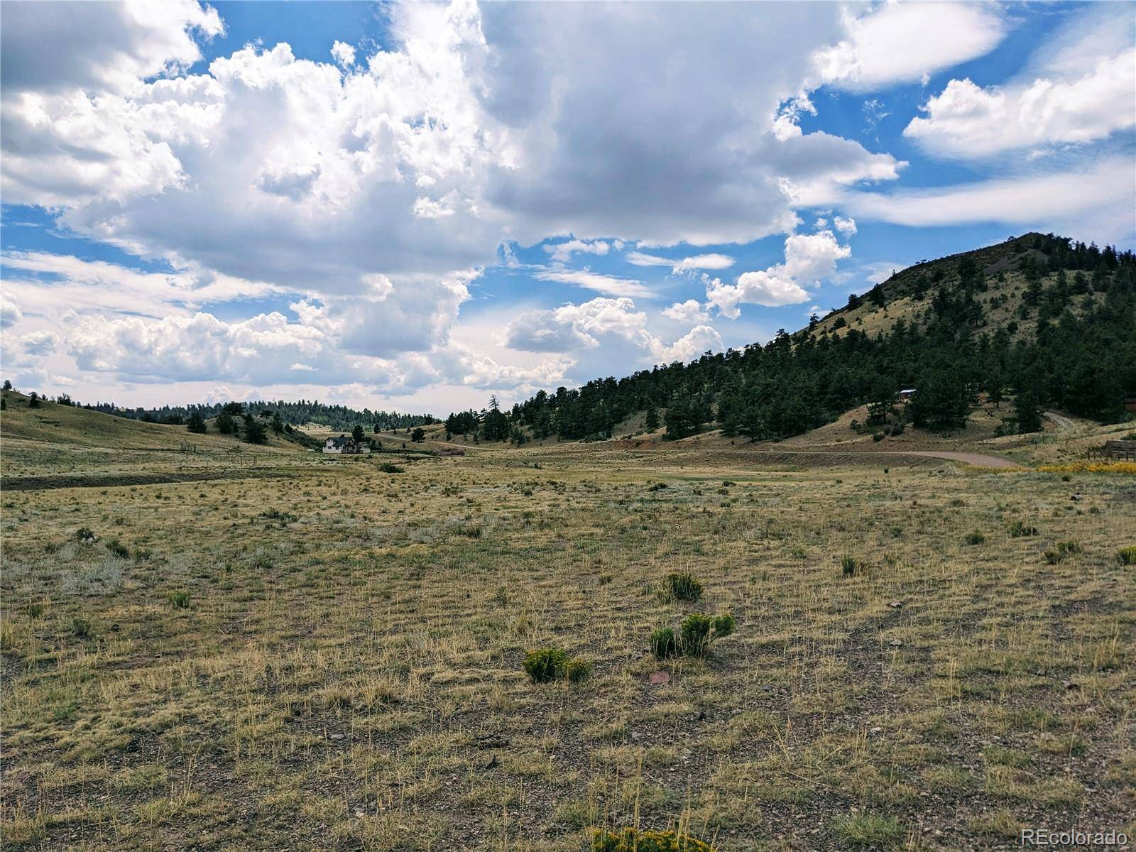 55 Jay CT, Hartsel, CO 80449