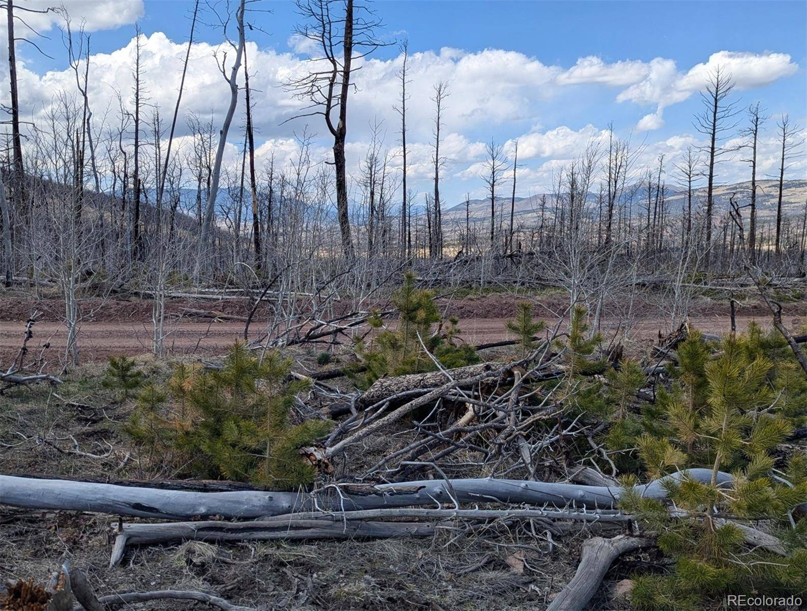 Lot 1882, Fort Garland, CO 81133