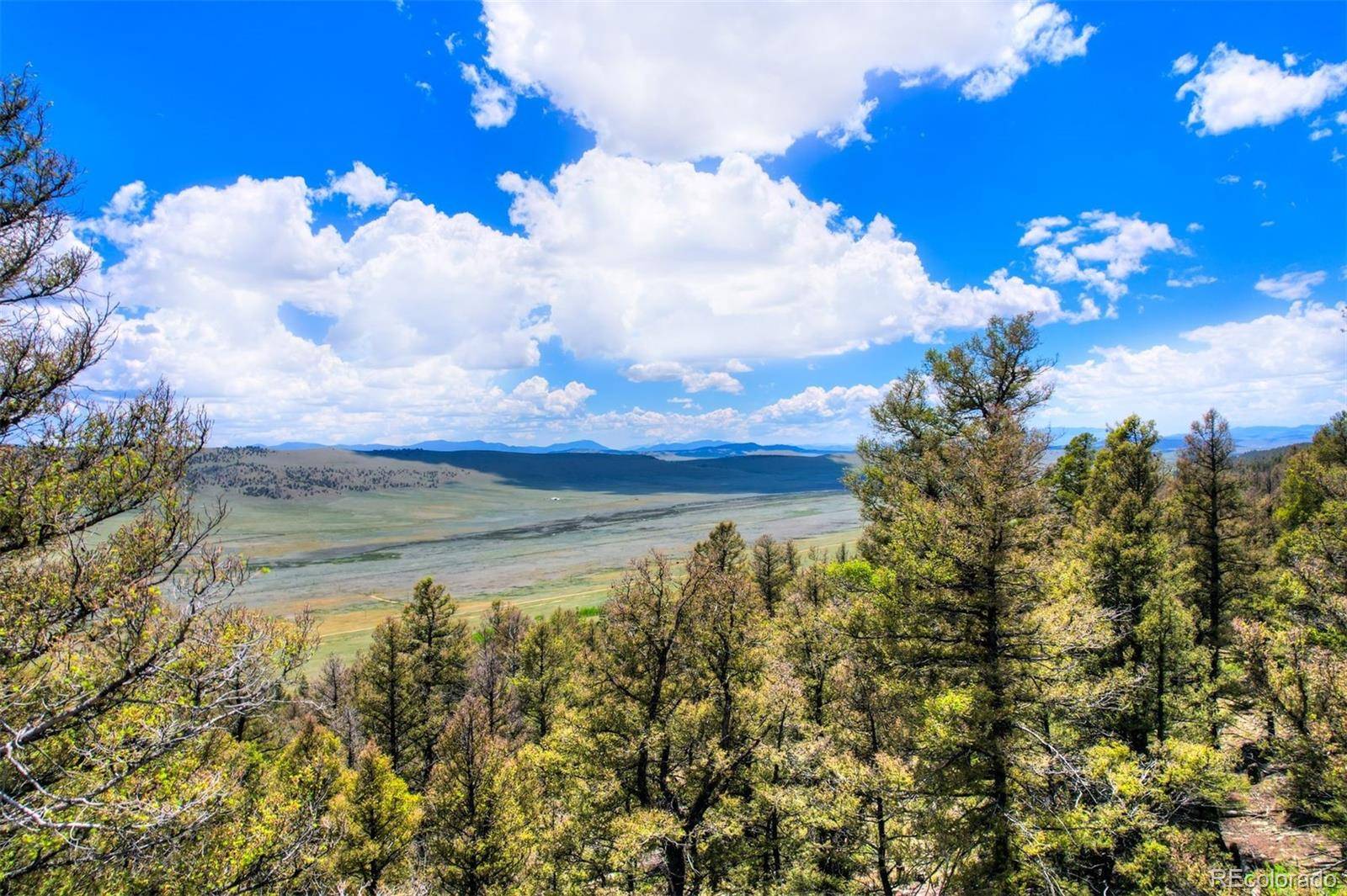 Lot 262 Middle Fork VIS, Fairplay, CO 80440
