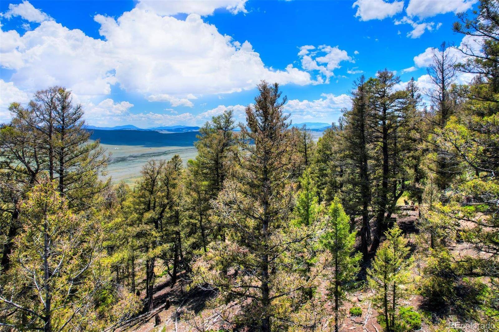 Lot 262 Middle Fork VIS, Fairplay, CO 80440