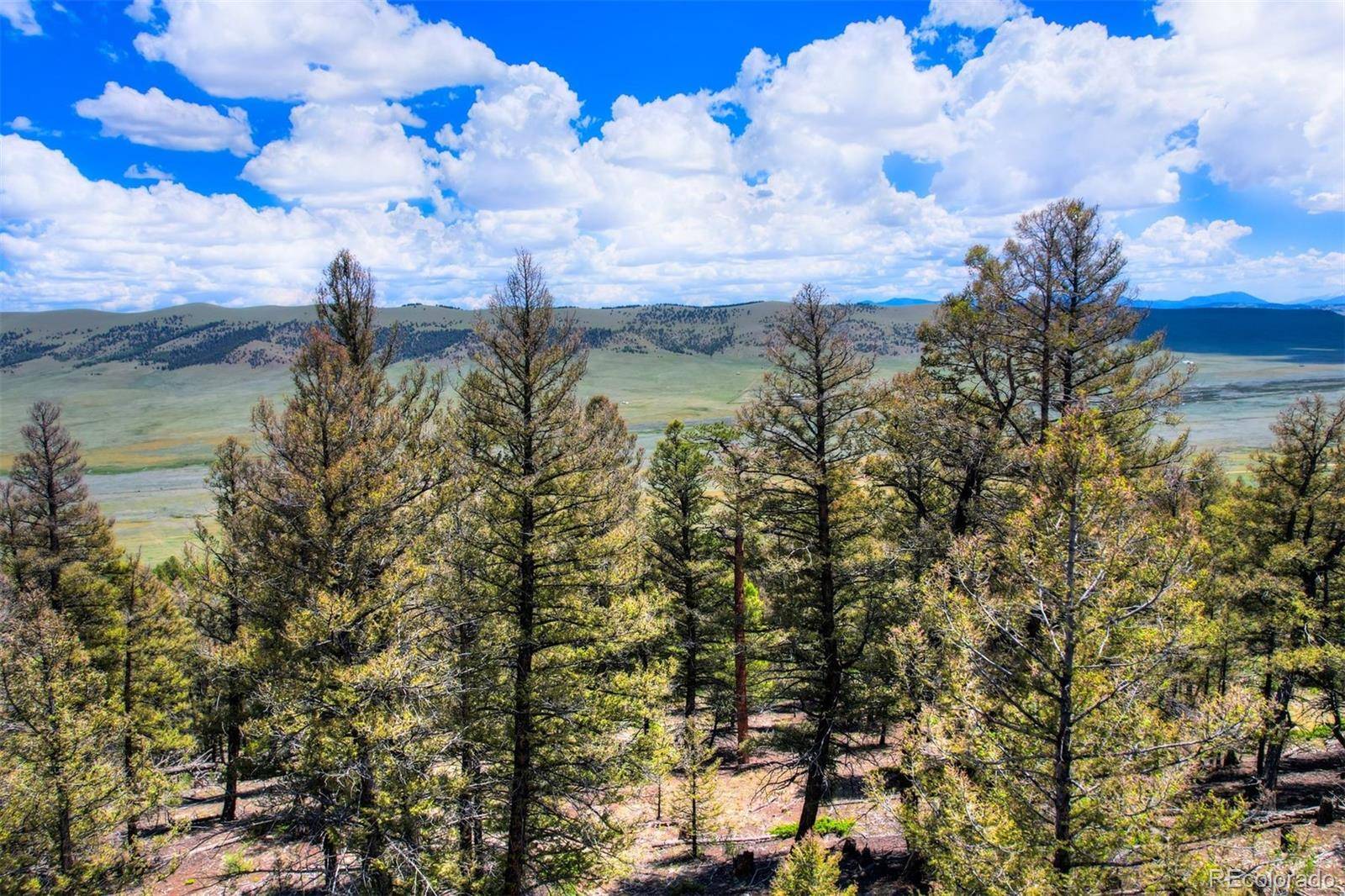 Lot 262 Middle Fork VIS, Fairplay, CO 80440