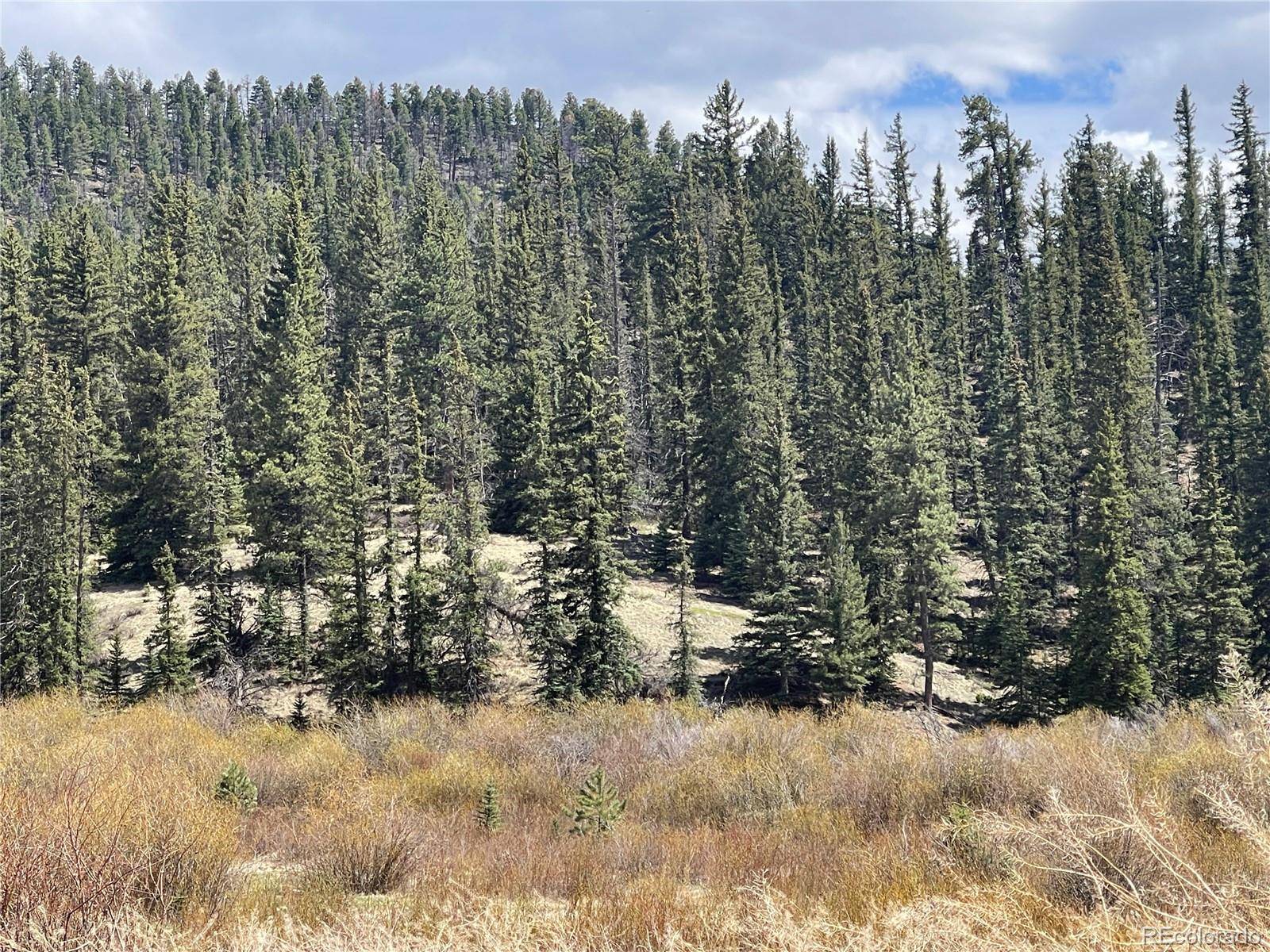 00 Wildhorn RD, Florissant, CO 80816