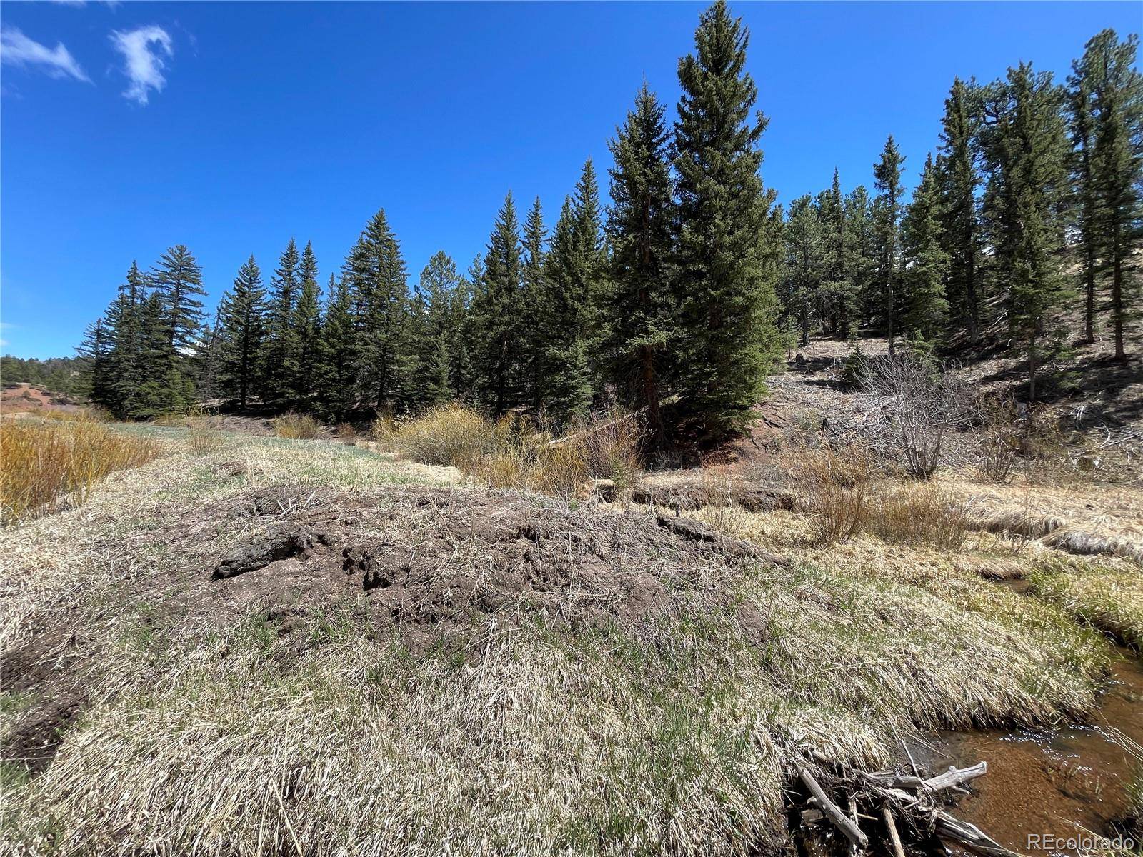 00 Wildhorn RD, Florissant, CO 80816