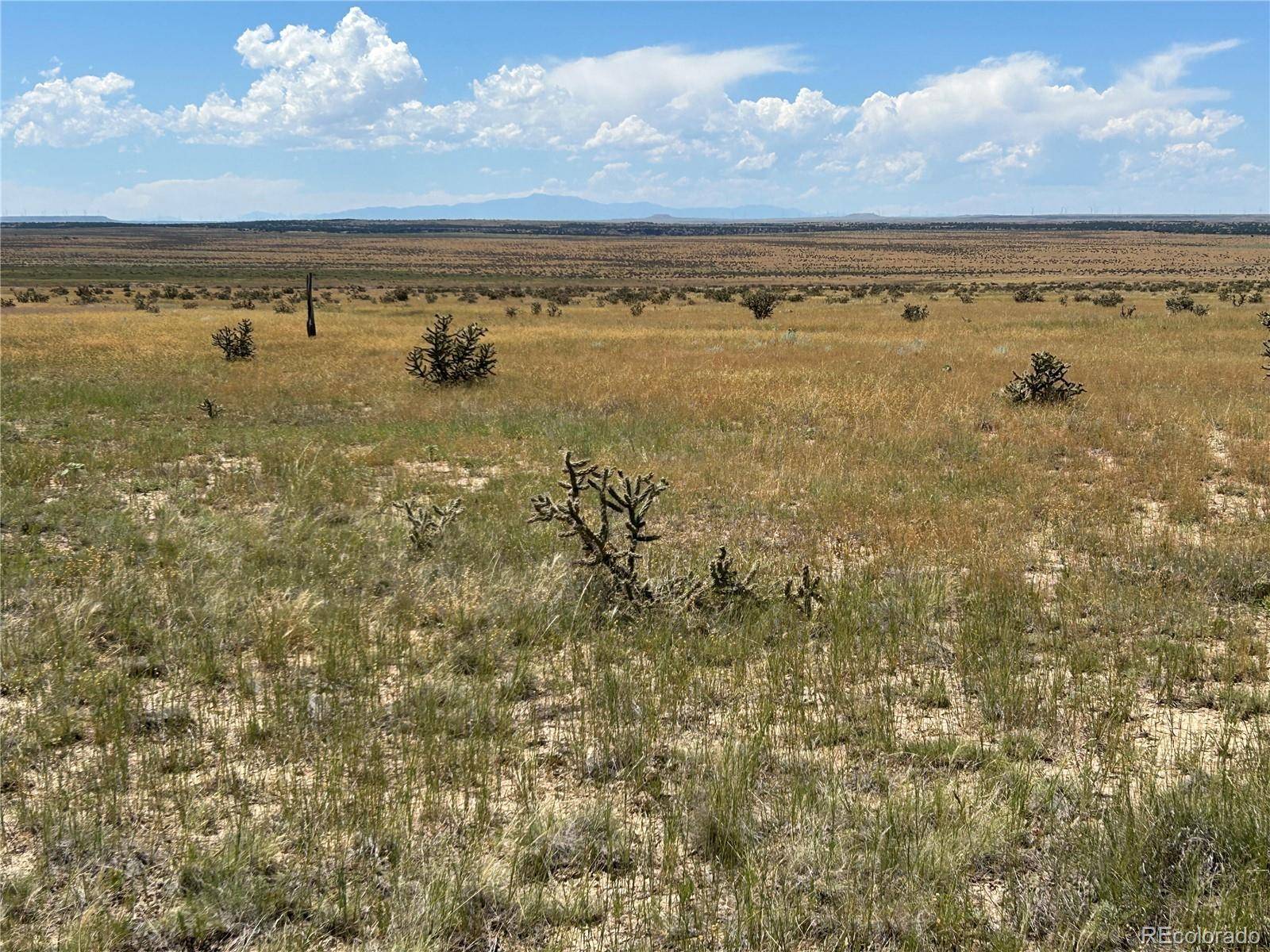 Lot 4 Outback Ranch, Model, CO 81059