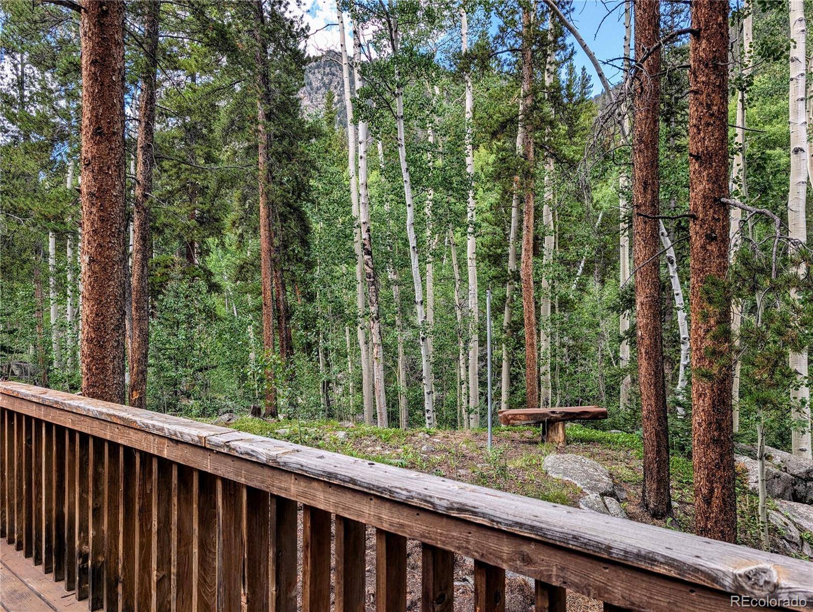 23795 County Road 162, Nathrop, CO 81236