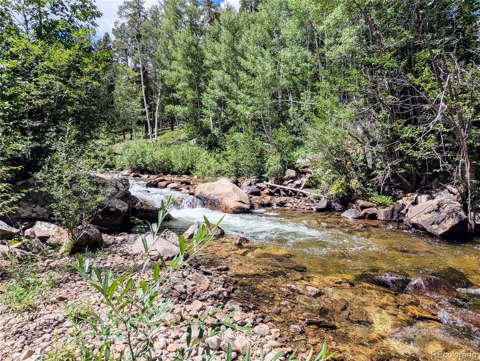 23795 County Road 162, Nathrop, CO 81236