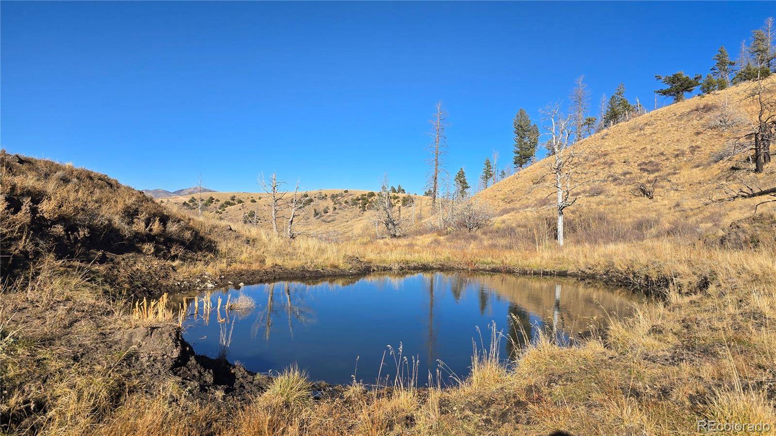 7741 Van Giesen RD, Fort Garland, CO 81133