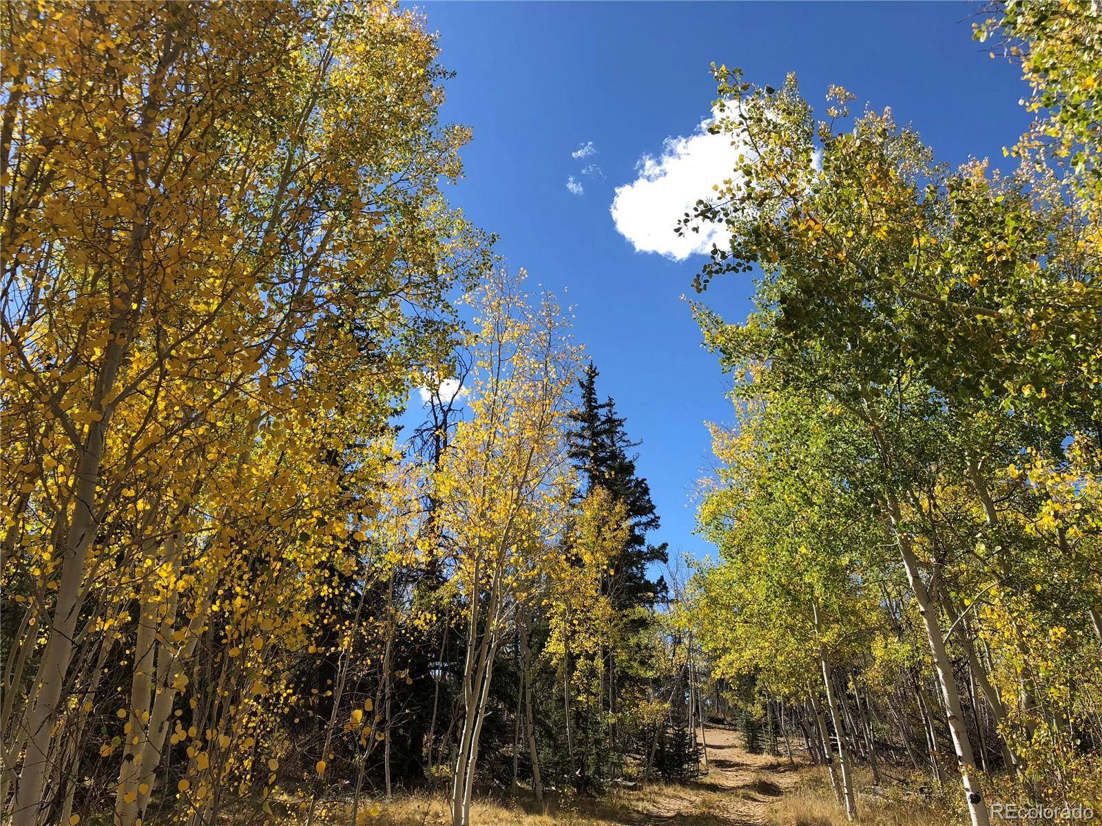 683 Latigo LOOP, Hartsel, CO 80820