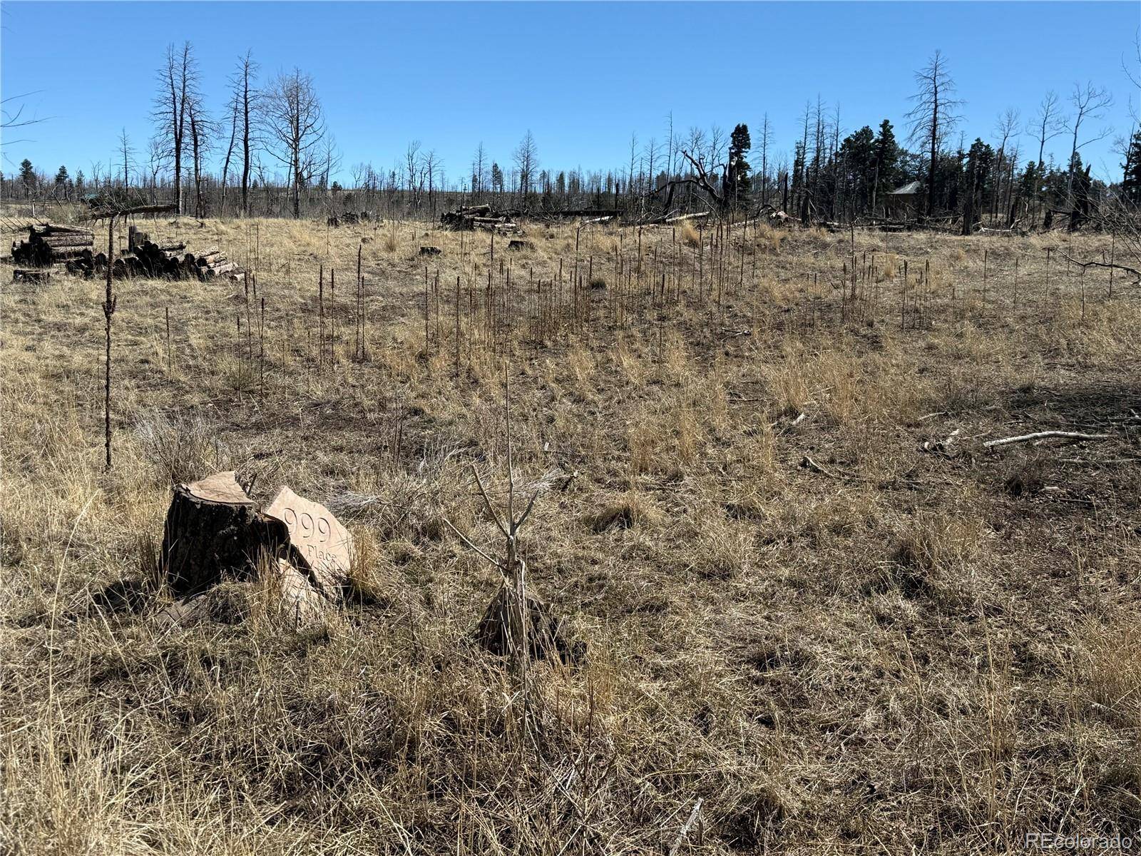 Lot 999 Foy PL, Fort Garland, CO 81133