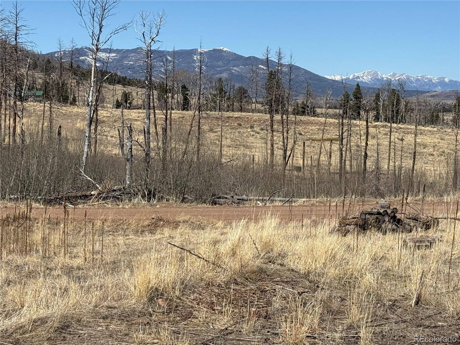 Lot 999 Foy PL, Fort Garland, CO 81133