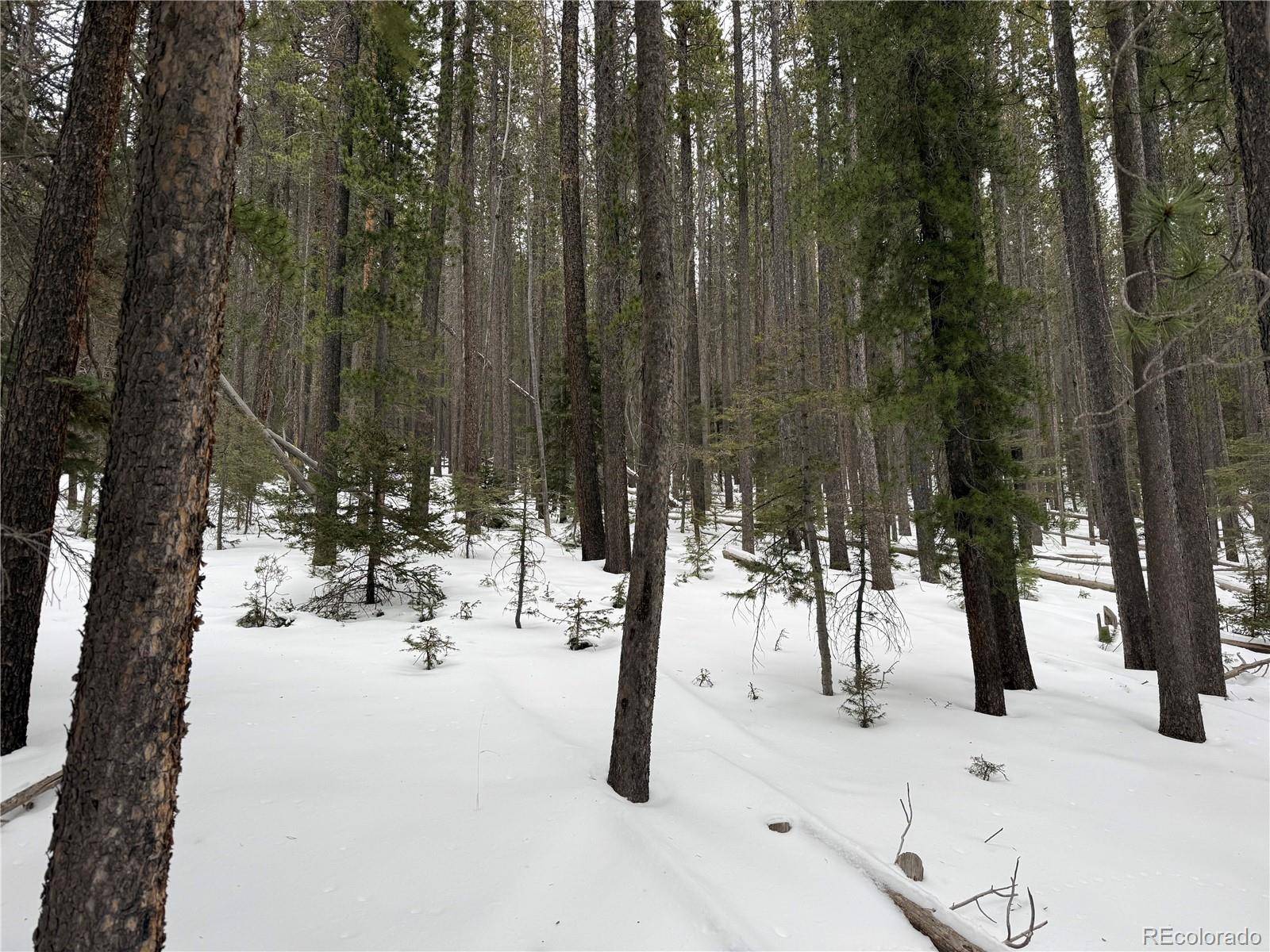 Lot 2805 Moir DR, Fort Garland, CO 81133