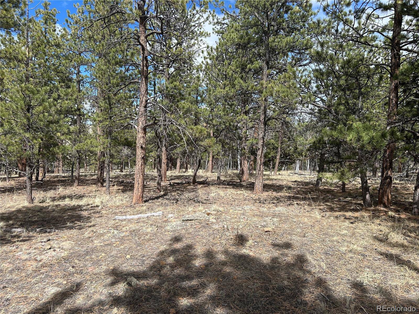97 Chap WAY, Hartsel, CO 80449