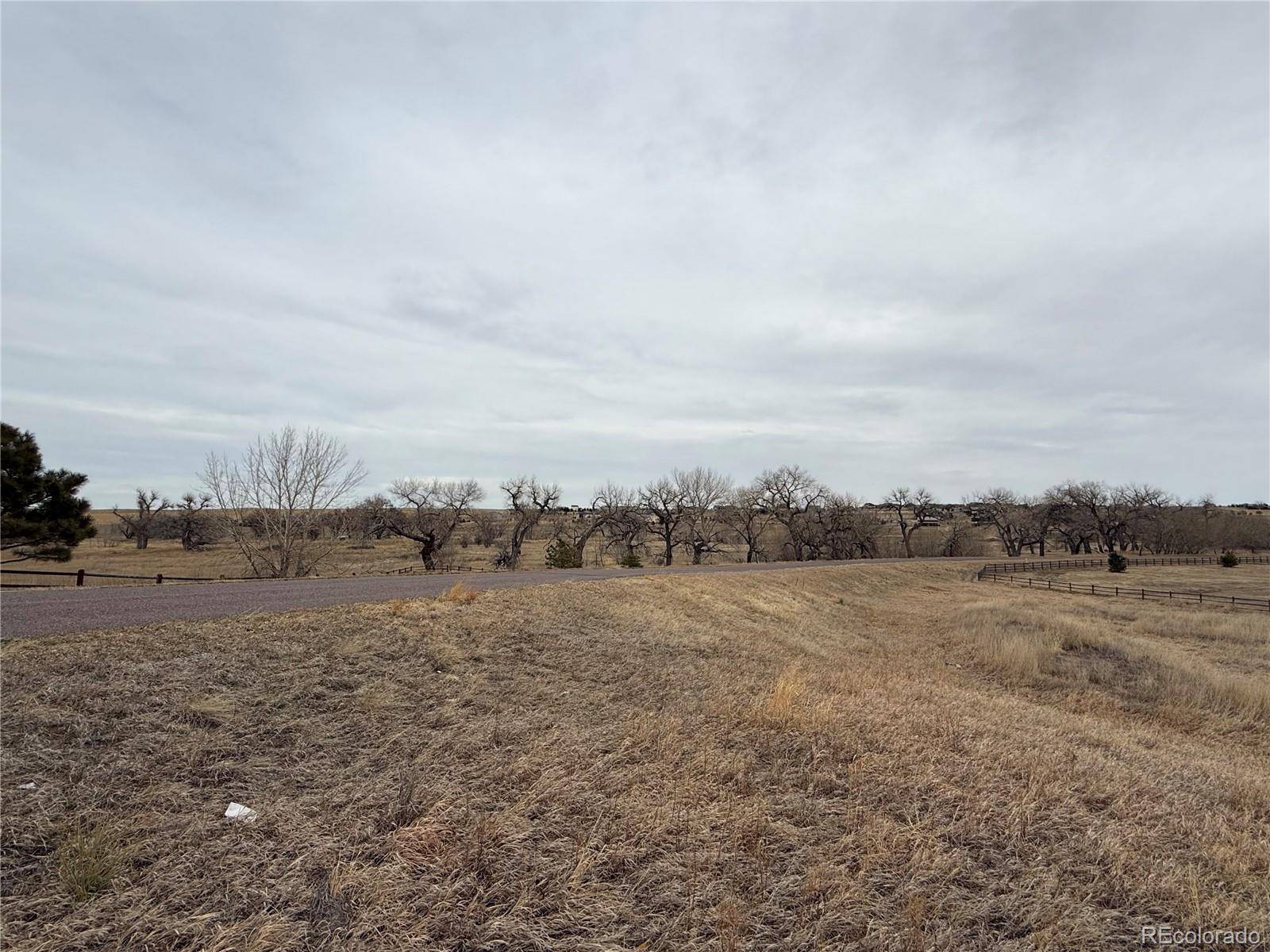 2427 Elkhorn Ranch ST, Parker, CO 80138