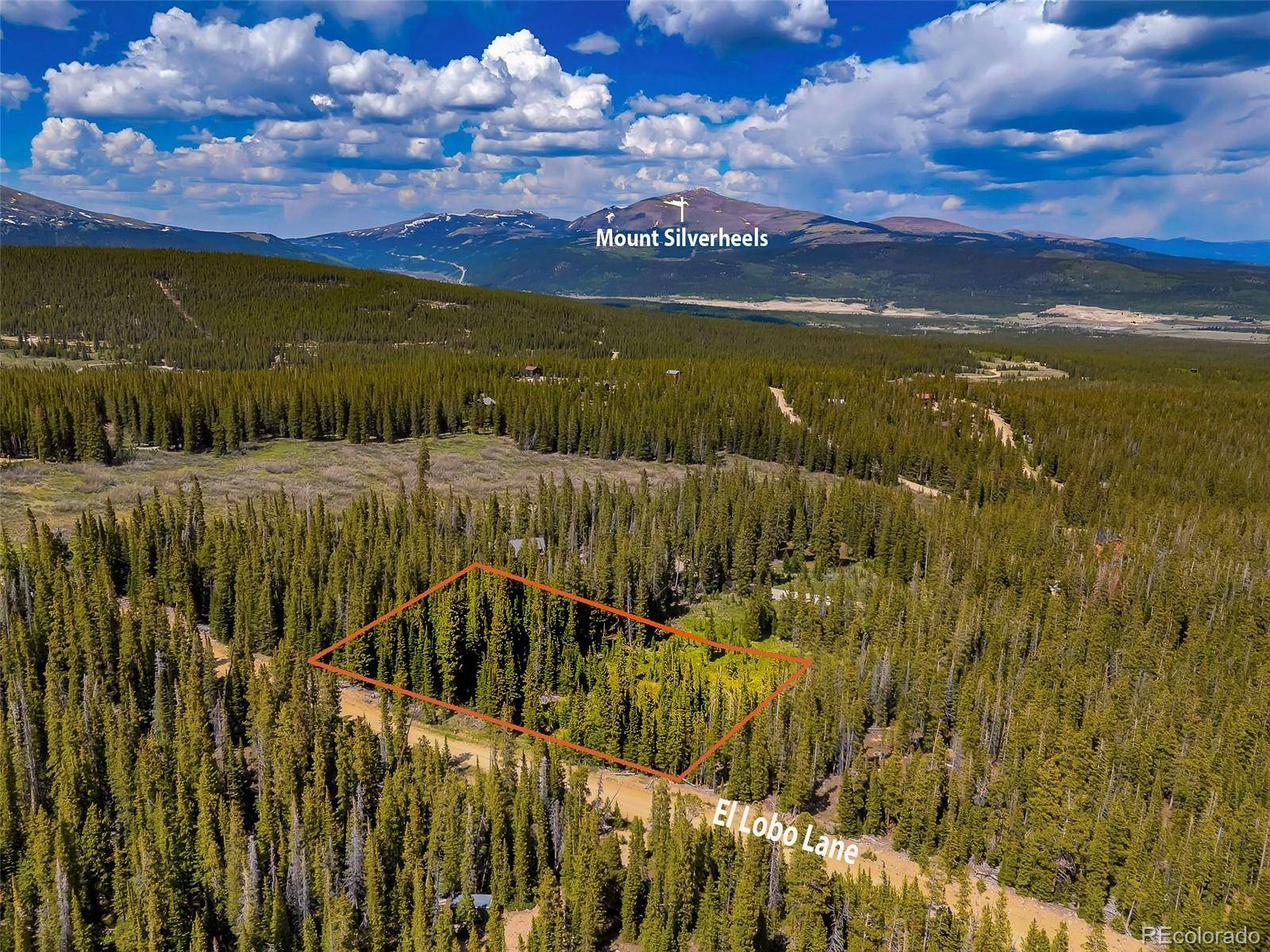 632 El Lobo LN, Fairplay, CO 80440