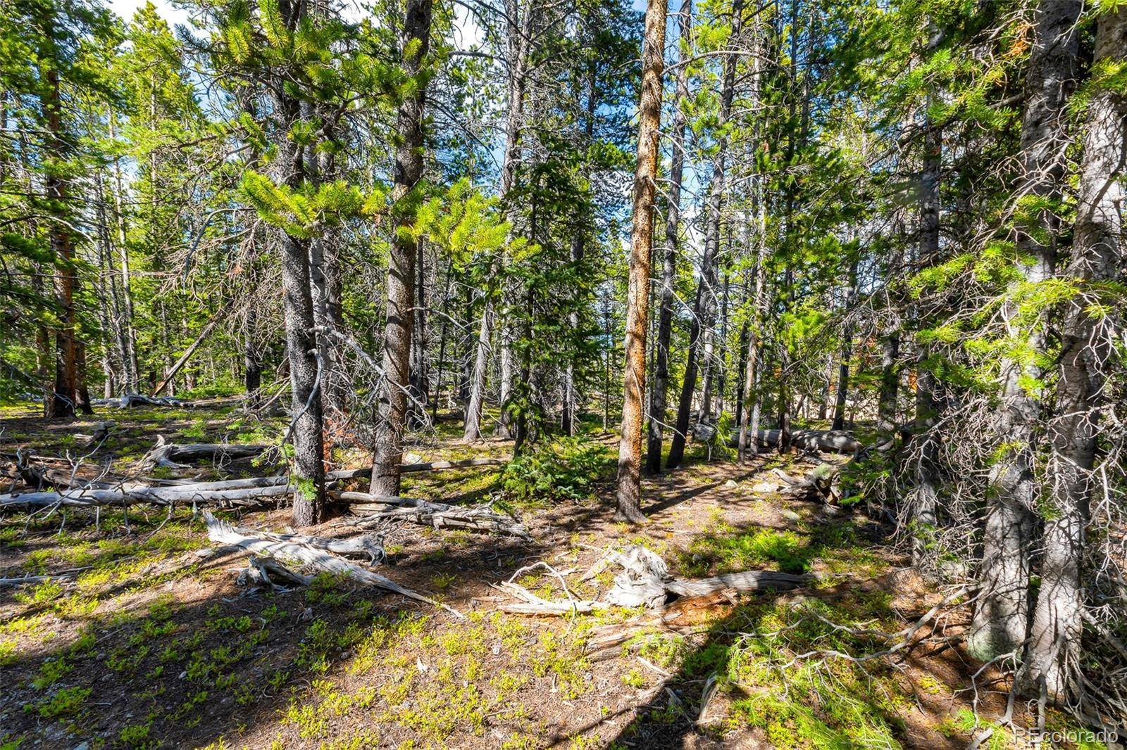 440 Gold Trail CIR, Fairplay, CO 80440