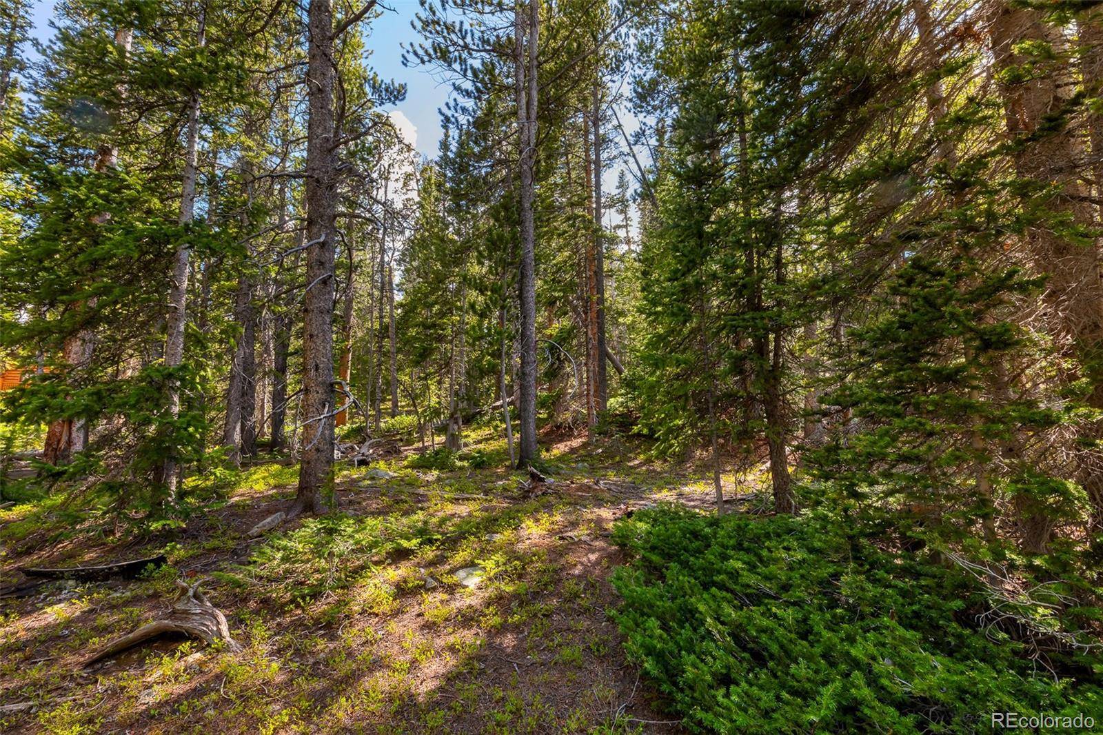 440 Gold Trail CIR, Fairplay, CO 80440
