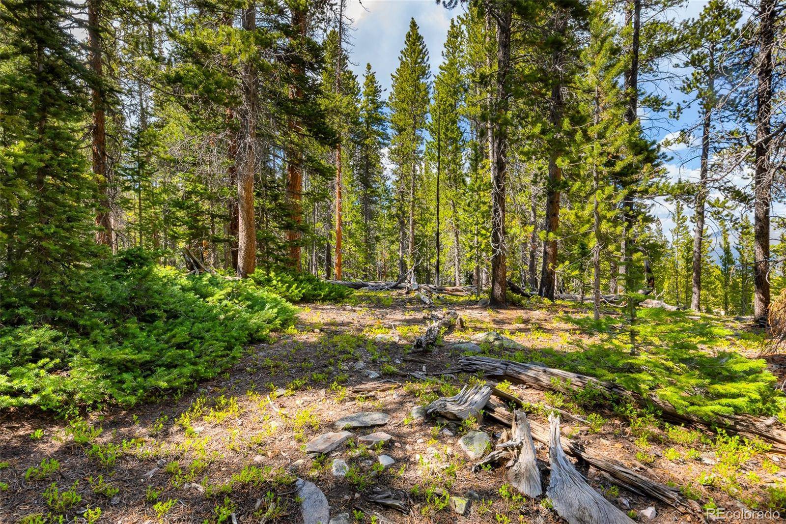 440 Gold Trail CIR, Fairplay, CO 80440