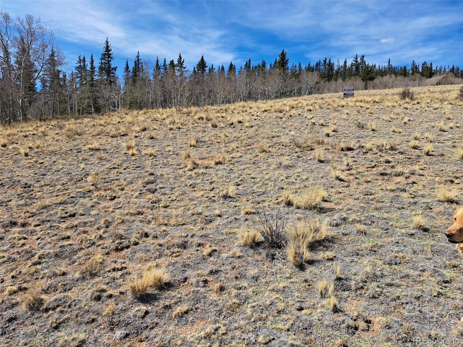 541 War LN, Como, CO 80432