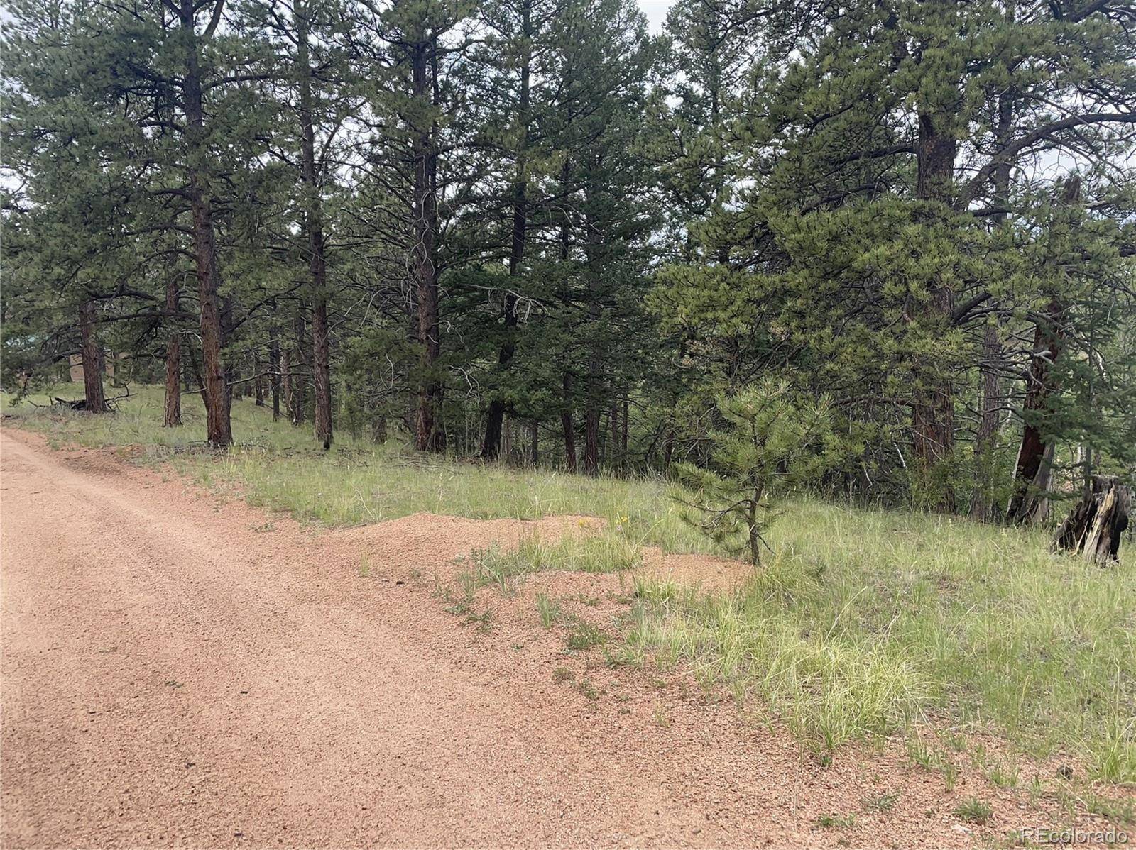 452 Wilson DR, Florissant, CO 80816