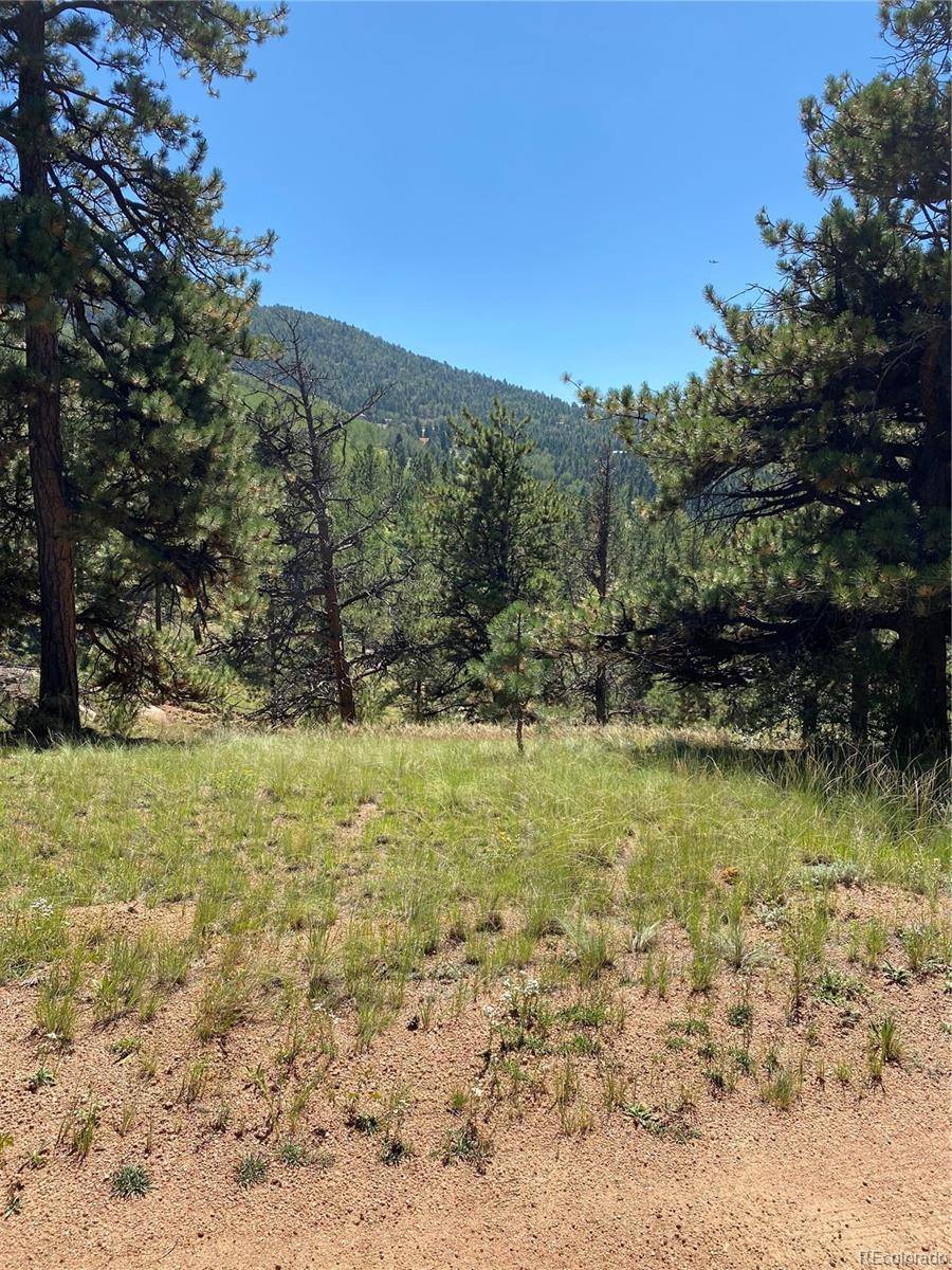 452 Wilson DR, Florissant, CO 80816
