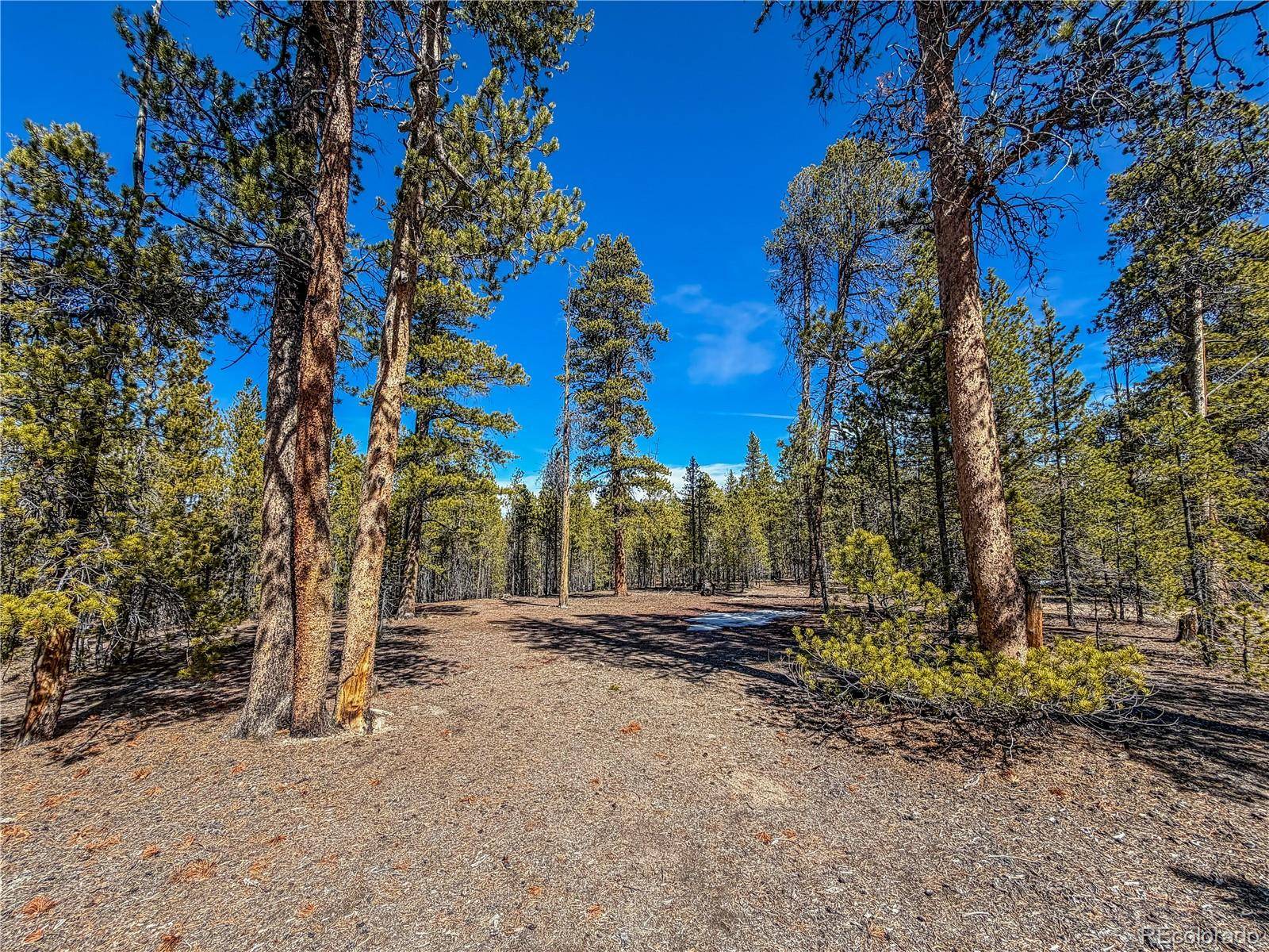 199 Cedar DR, Twin Lakes, CO 81251