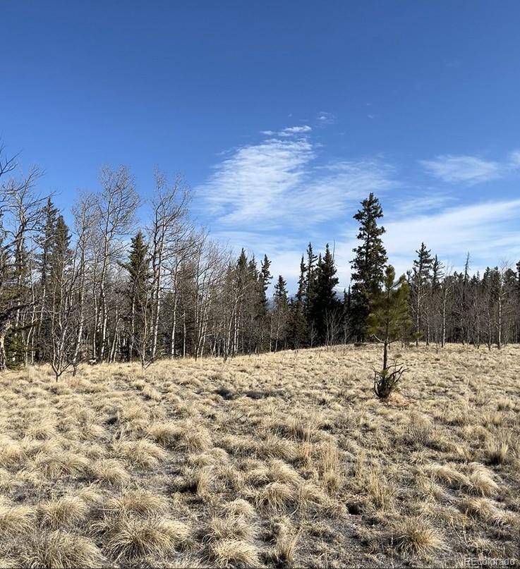 27 Warpath RD, Como, CO 80432