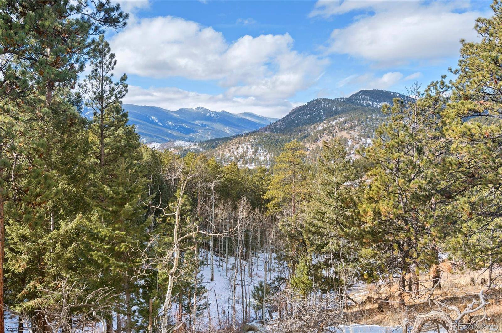 135 Linda TRL, Bailey, CO 80421