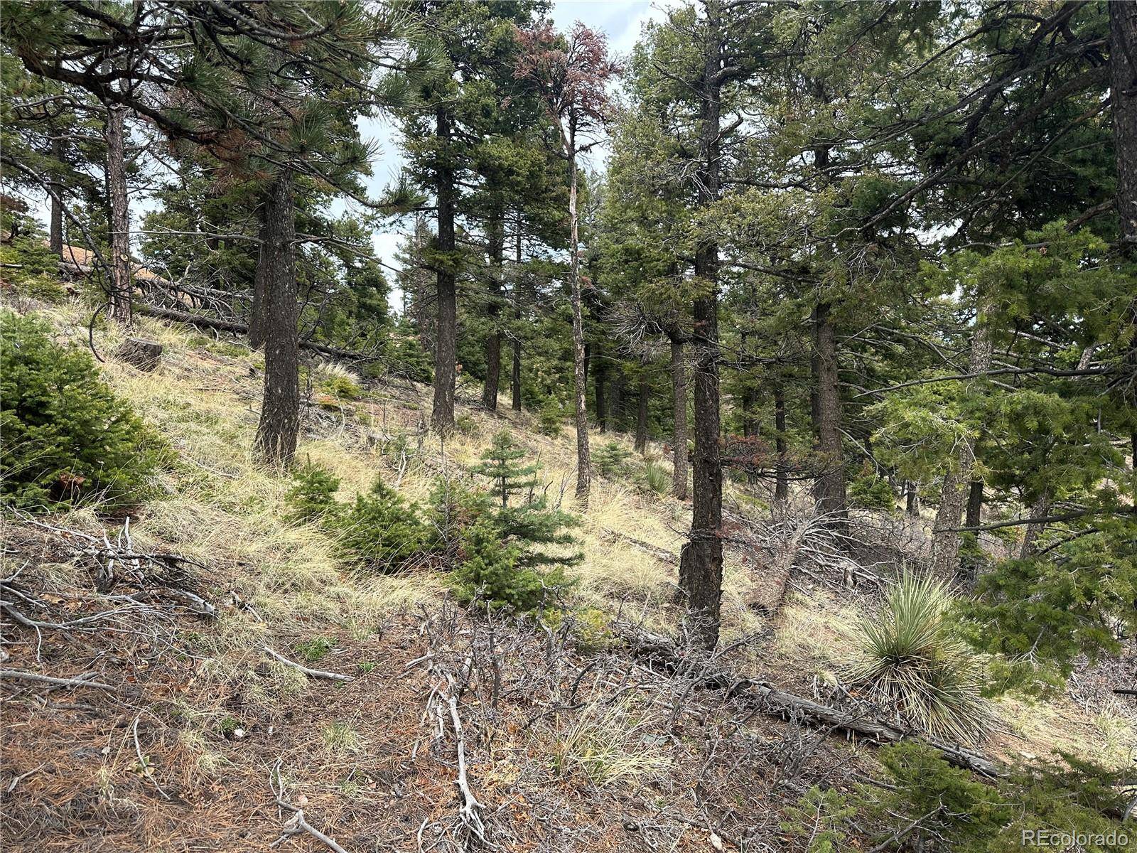 275 Upper Vista RD, Manitou Springs, CO 80829