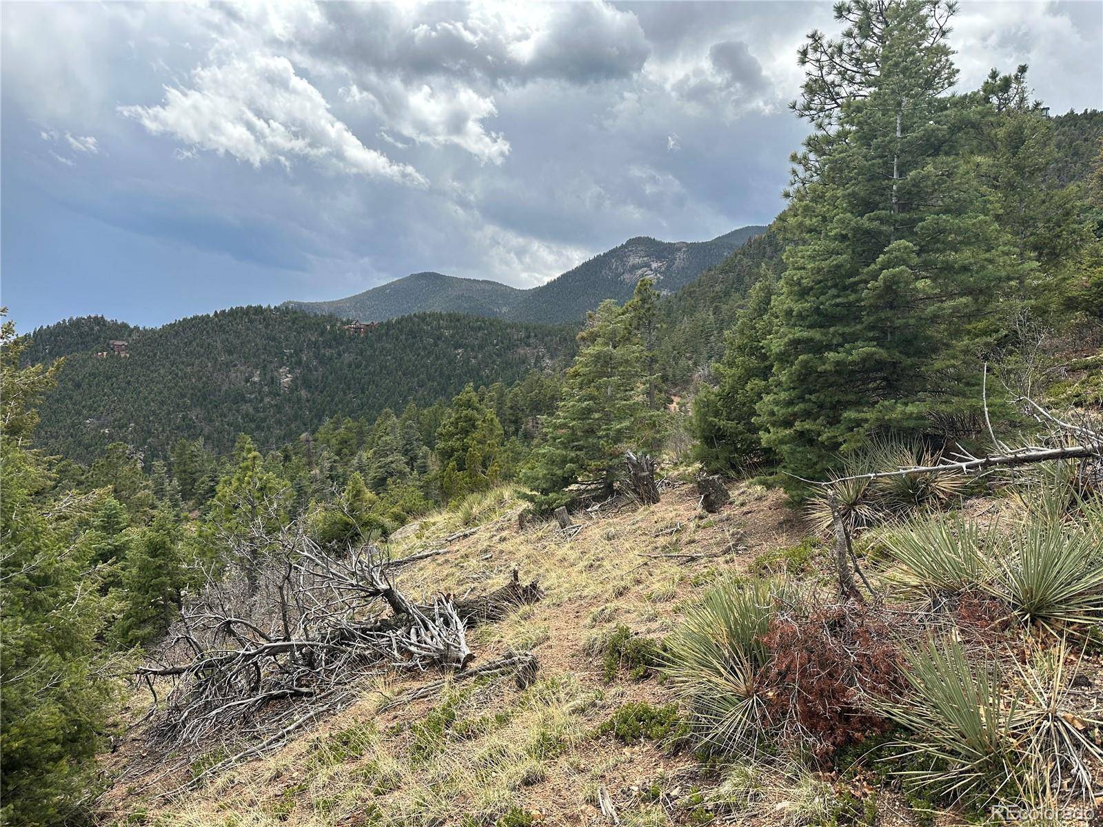 275 Upper Vista RD, Manitou Springs, CO 80829