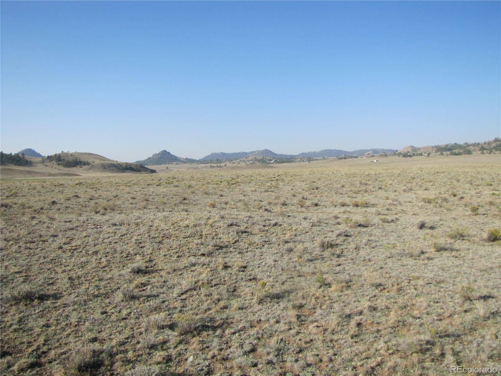 0 Buffalo DR, Hartsel, CO 80449