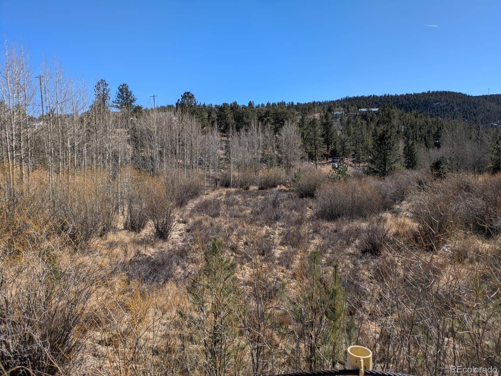 261 Appleby ST, Bailey, CO 80421
