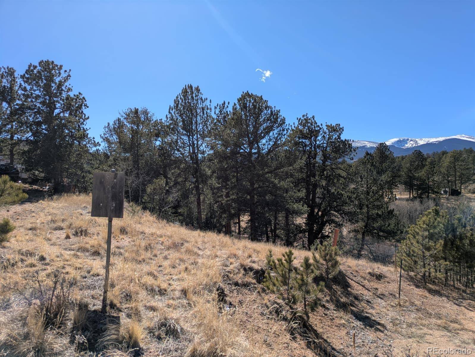 261 Appleby ST, Bailey, CO 80421