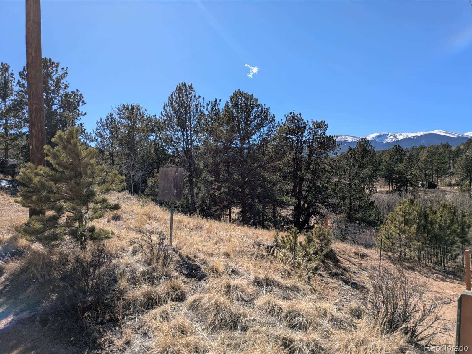 261 Appleby ST, Bailey, CO 80421
