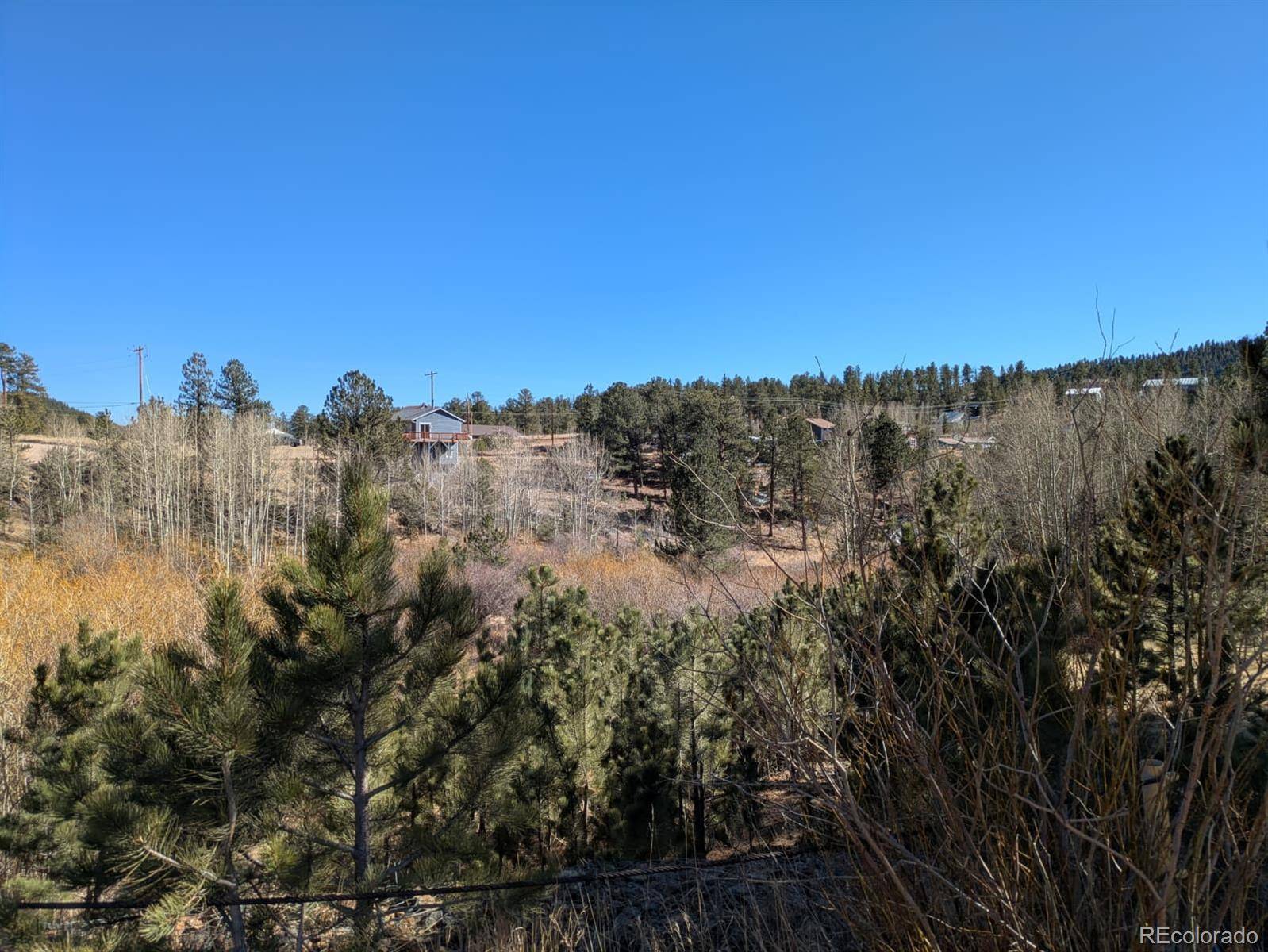 261 Appleby ST, Bailey, CO 80421