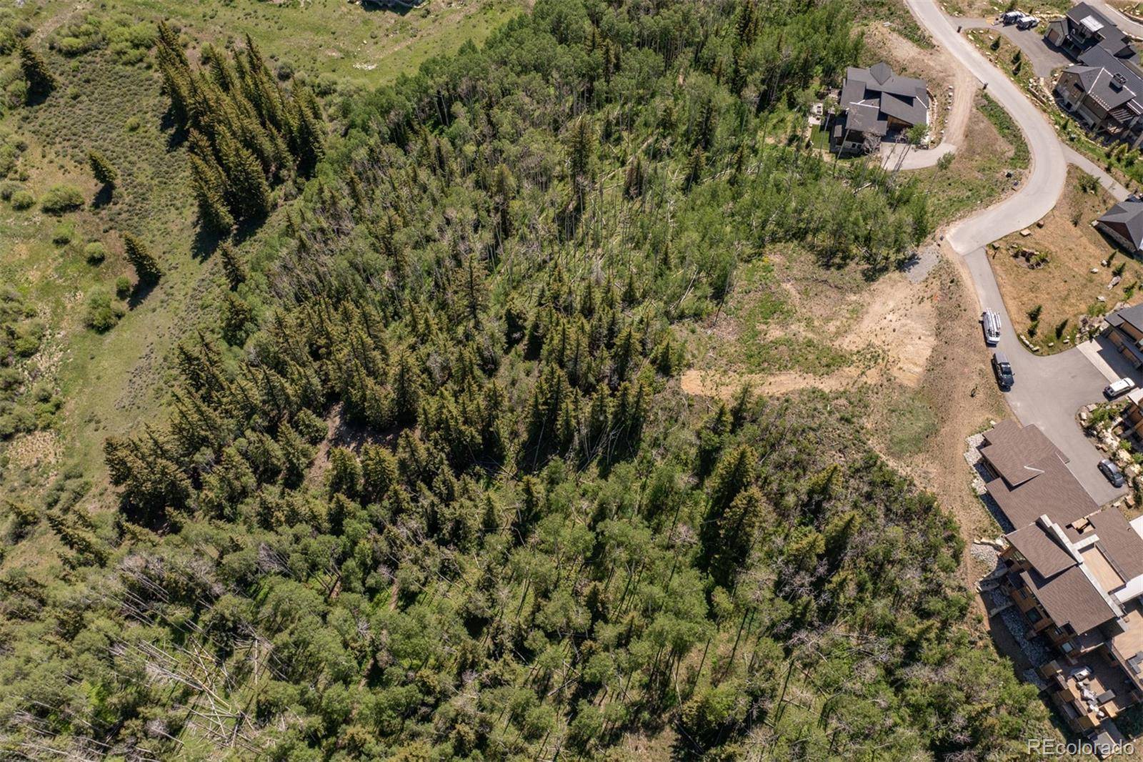 70 Mayfly DR, Silverthorne, CO 80498