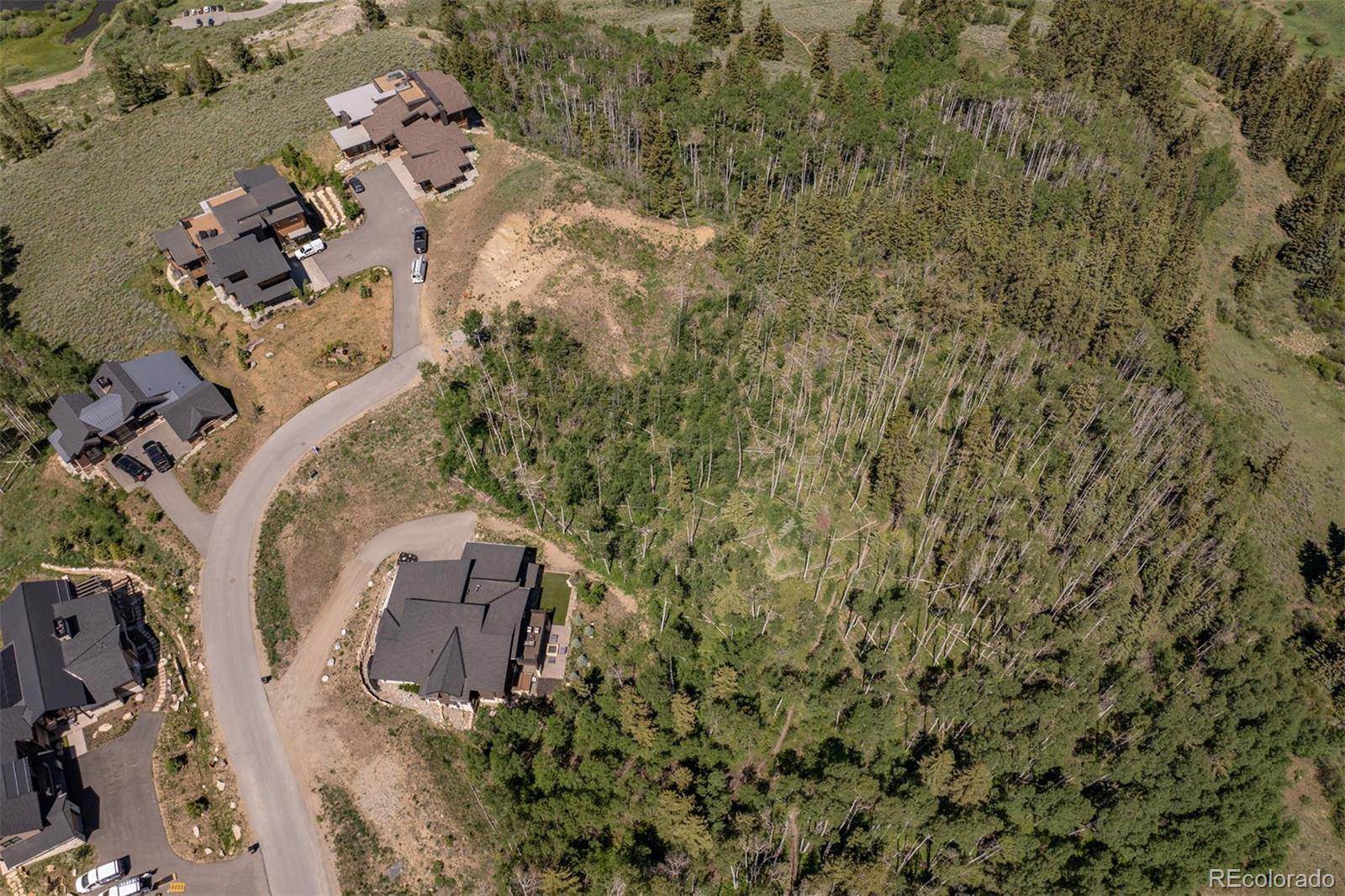 70 Mayfly DR, Silverthorne, CO 80498