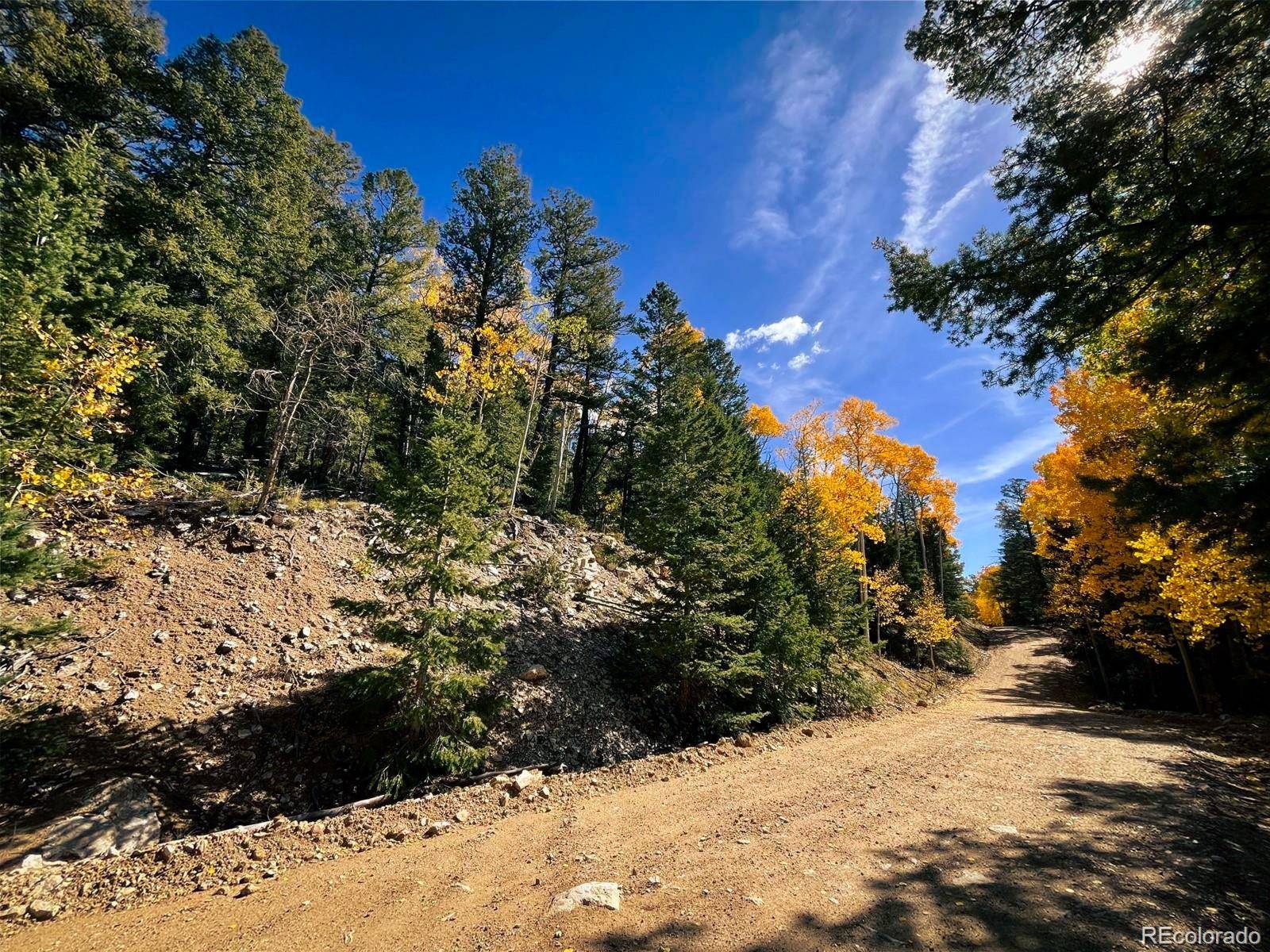 LOT 6187 Starkbeather RD, Fort Garland, CO 81133