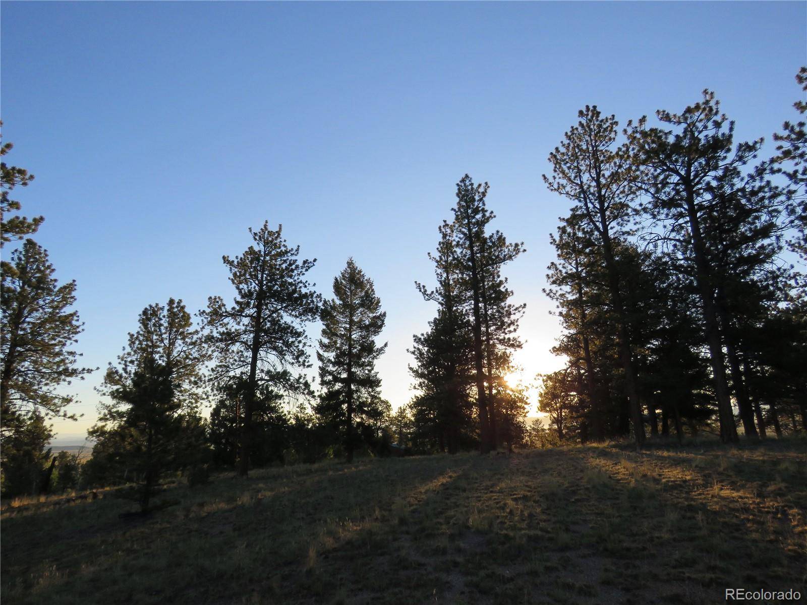 9389 Ranch RD, Hartsel, CO 80449