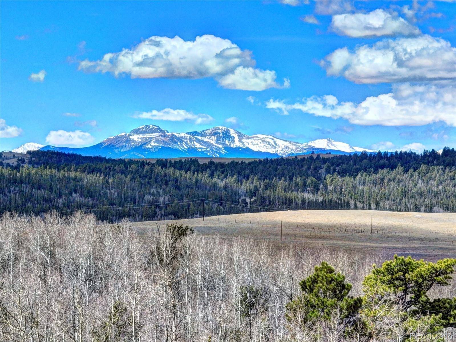 101 Patch CT, Como, CO 80432