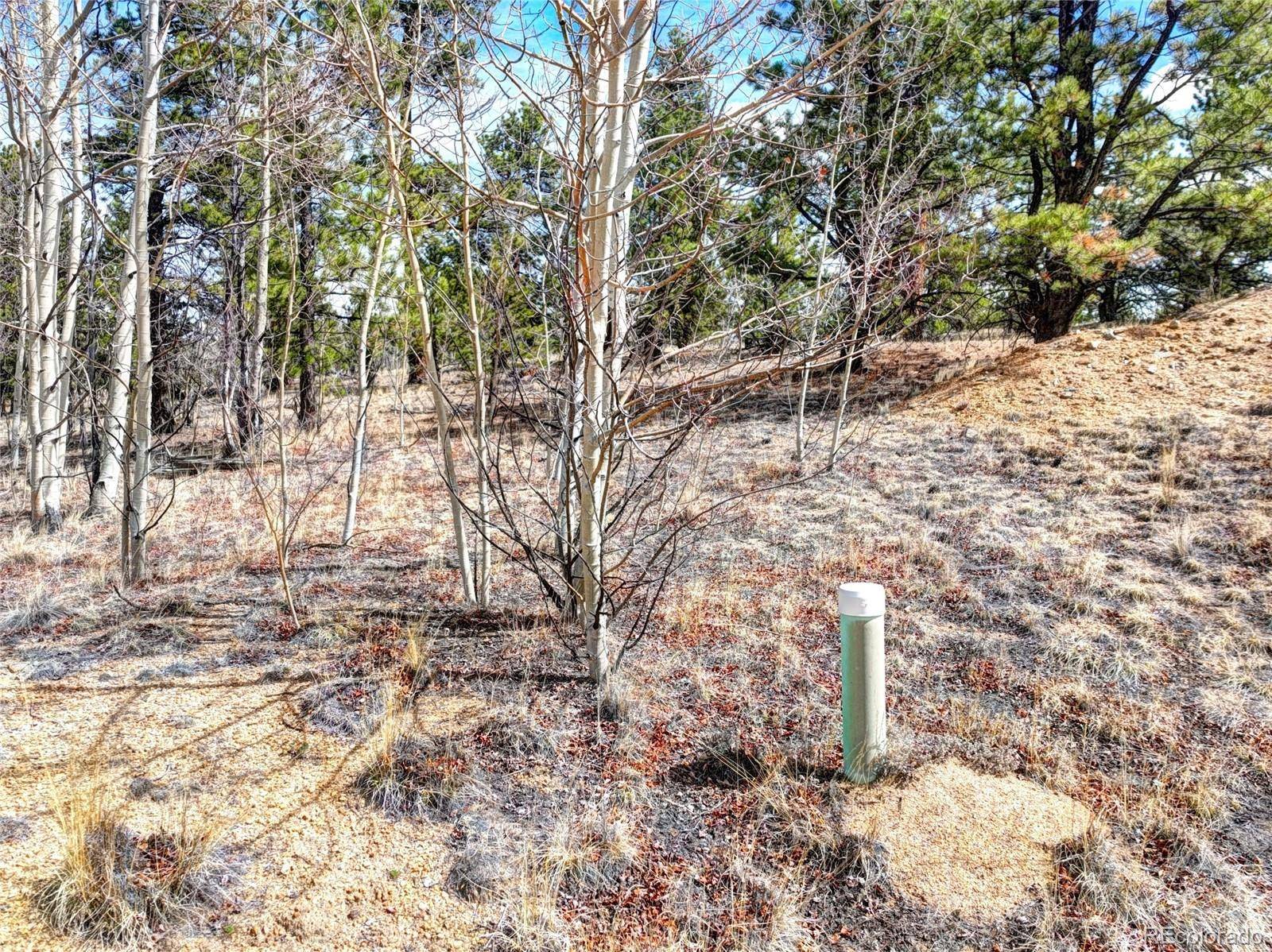 101 Patch CT, Como, CO 80432