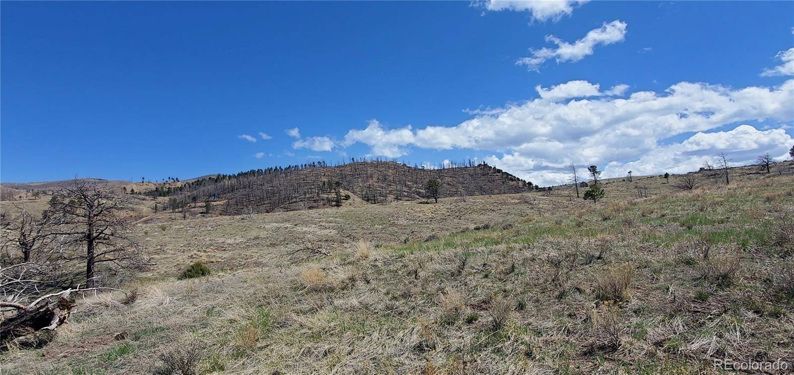Lot 7699 Marie RD, Fort Garland, CO 81133