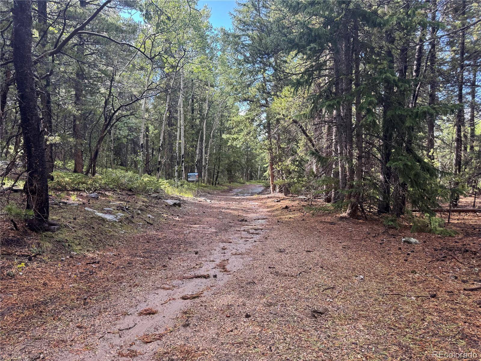 005 Roy Smith RD, Central City, CO 80427